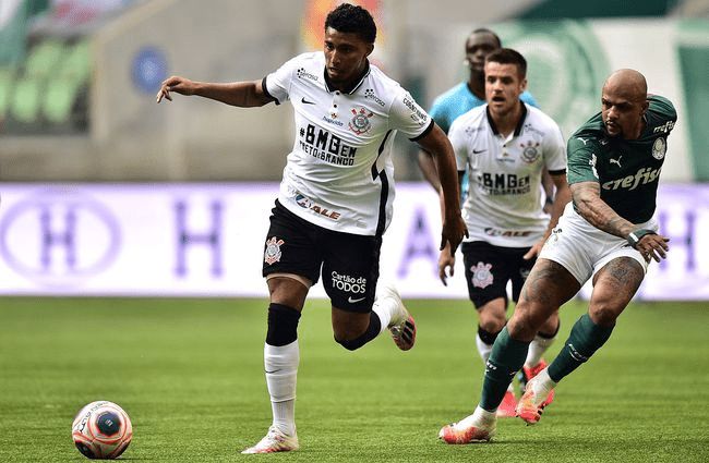 稳定性和竞 稳定性和竞