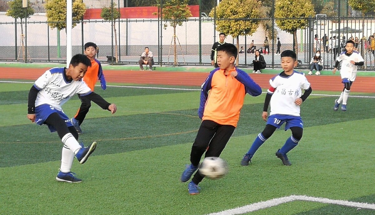 食和运动进 食和运动进