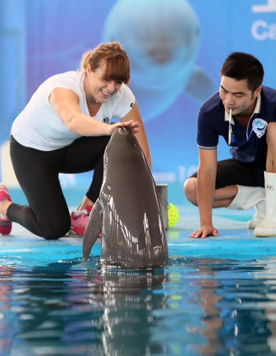 对观众而言 对观众而言